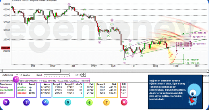How To Read the Elliott Charts In Detail?