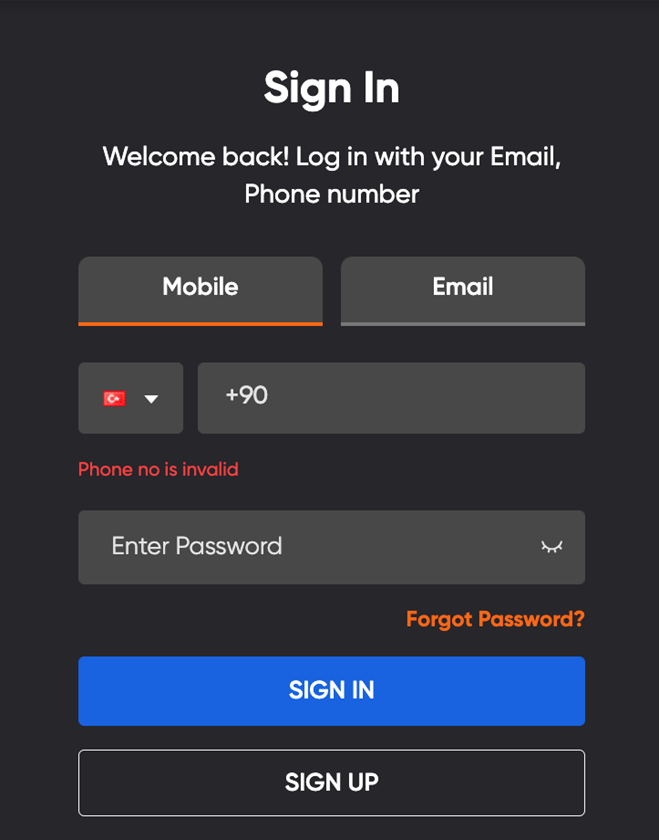 How to Log In EgeMoney?