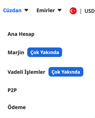 EgeMoney Cüzdanıma nasıl ulaşabilirim? 