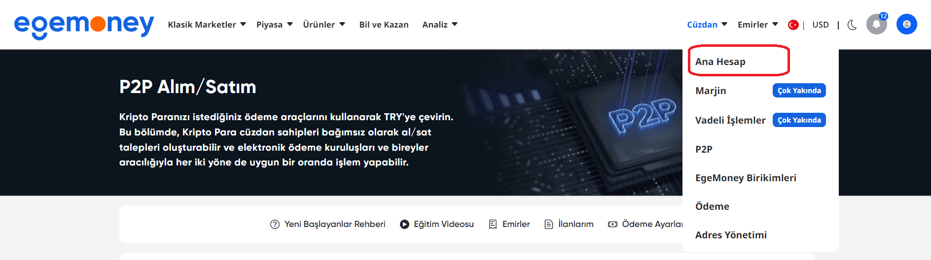 P2P Nasıl Kullanılır?