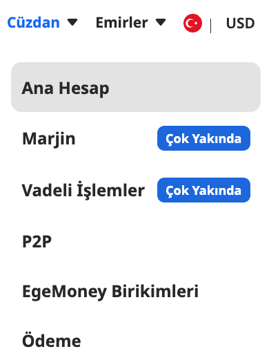 EgeMoney Cüzdanıma nasıl erişim sağlayabilirim