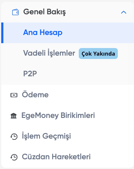 Cüzdan sekmesinde başka neleri görüntüleyebilirim