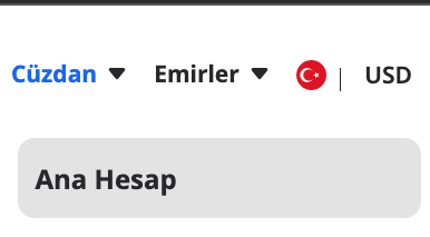Spot Cüzdanımı ve Fiat Cüzdanımı Nasıl Görüntülerim