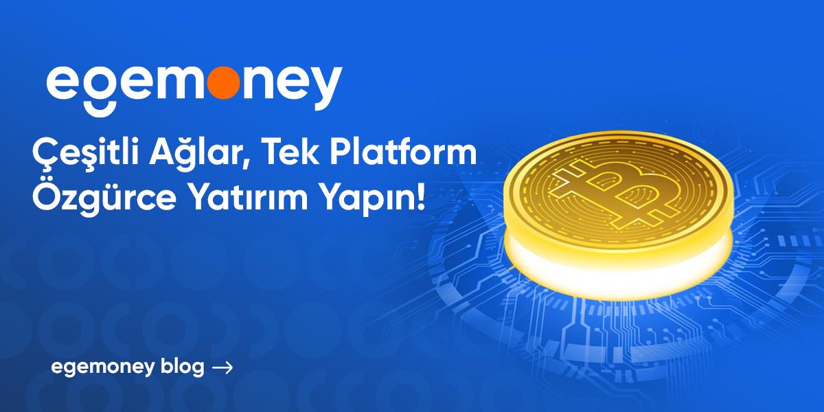 Kripto Para İşlemlerinde Kullanılan Blockchain Ağları