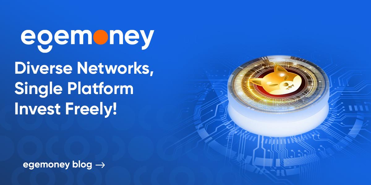 What Networks Can I Use to Buy SHIB on EgeMoney